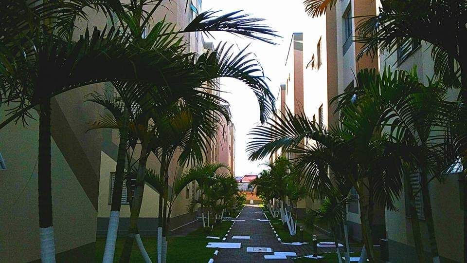 Apartamento - Venda - Vila Urupês - Suzano - SP